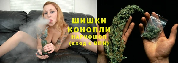шишки Арсеньев