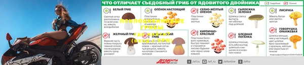 Альфа ПВП Алексеевка