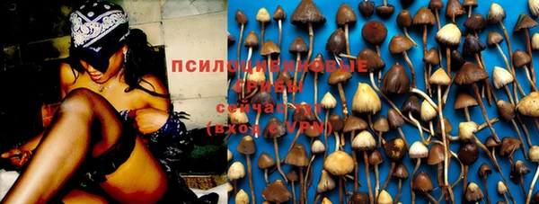шишки Арсеньев