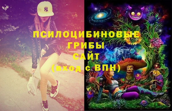 бошки Алексин