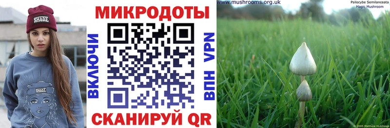 Галлюциногенные грибы Magic Shrooms  Новошахтинск 
